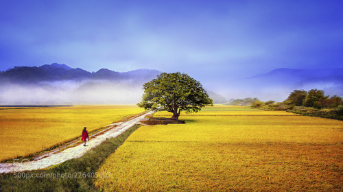 autumnal landscape by SungHwanLee