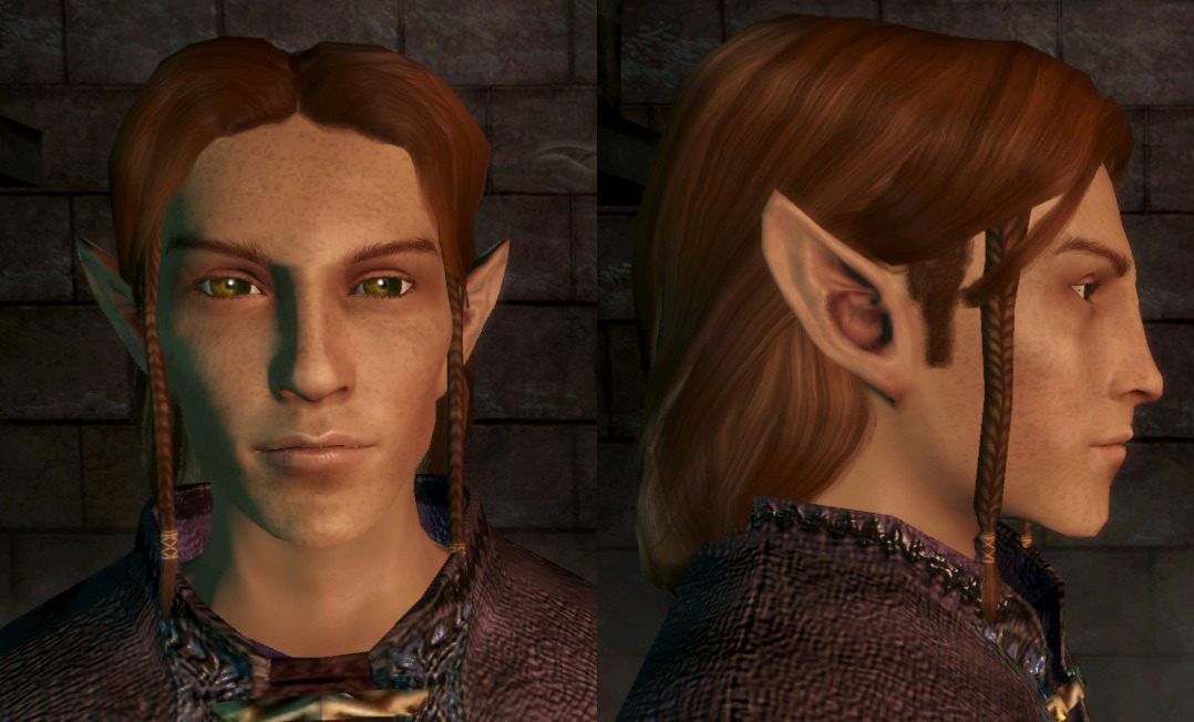 dragon age origins head morph