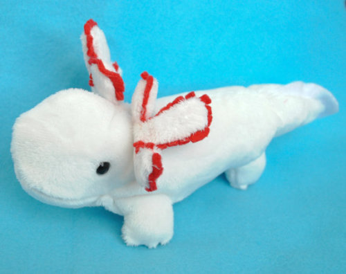 axolotl stuffy