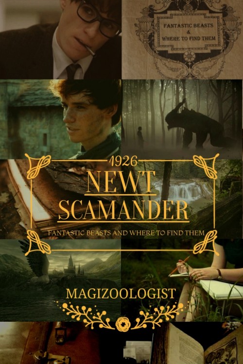 Fantastic Beasts And Where To Find Them Wallpaper Tumblr