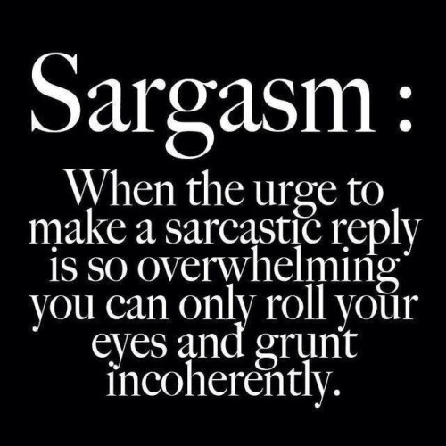 funny humour definition sargasm play on words sarcastic overwhelming