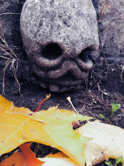 frankensteinsbrides:October vibes. The Old Donskoye Cemetery...