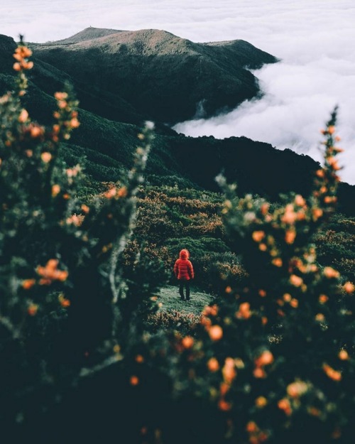 sosuperawesome:Tobias Hägg on InstagramFollow So Super Awesome...