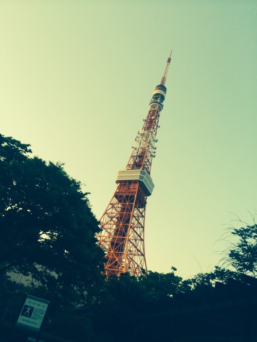 Terrific Tokyo tower trip.