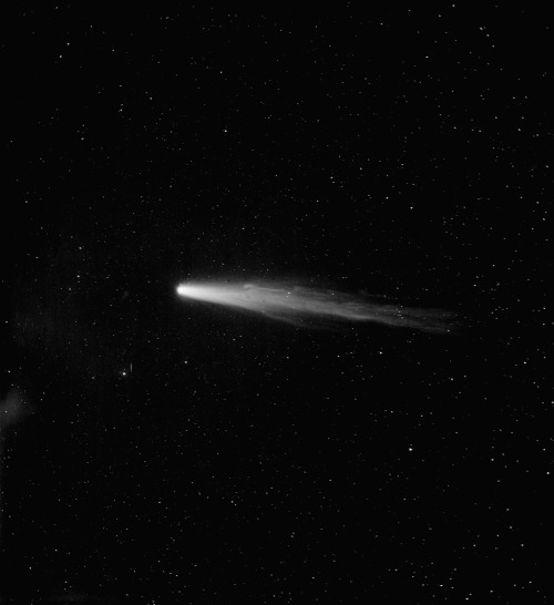 photos-of-space:Halley’s Comet - photographic plate taken in...