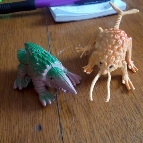 Scored these freaks! Original Bulette and Rust Monster! #DnD...