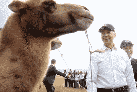 thingstoshowmyboyfriend:
“whitehouse:
“ Guess what day it is…
”
Uncle Joe with a Camel
”
Uncle Joe is having so much fun right now