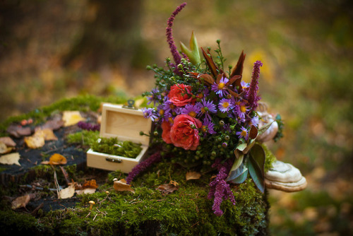 silvaris:Forest. Bouquet. Fairytale by Katrin