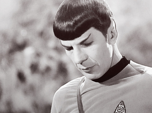 spock-idic:He’s SOOO gorgeous from absolutelyANY...