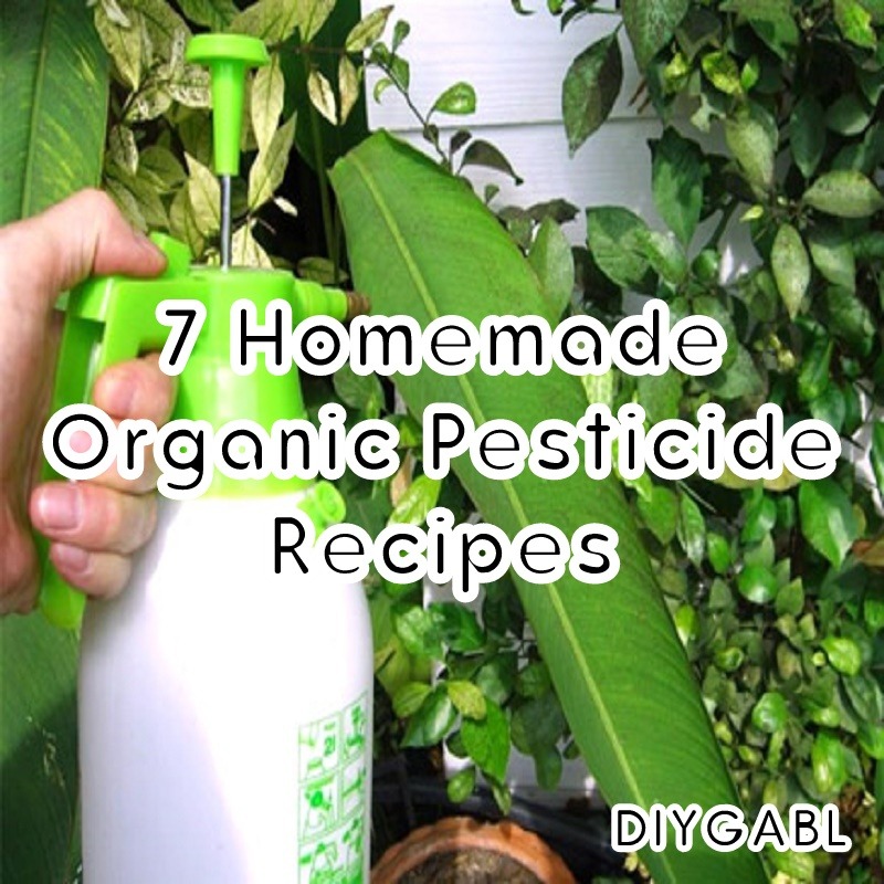 7 Homemade Organic Pesticide Recipes - Diy Gardening & Better Living