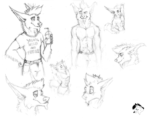 Rivalo furry oc furry furry wolf wolf my character oryginal character doodles sketch pencil sketch drawing art ppart