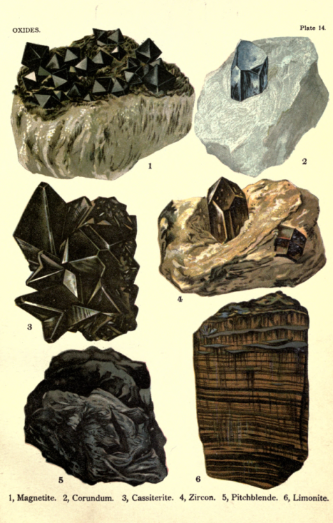 nemfrog:Plate 14. Oxides. The world’s minerals. 1911. 