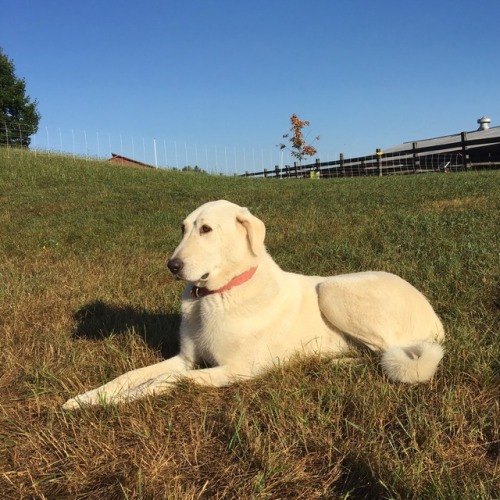 @Kinderhook Farm