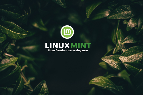 Hình nền Linux Mint với thiết kế đơn giản nhưng cực kỳ cuốn hút. Sự kết hợp giữa màu xanh lá và xanh da trời tạo thành một bức tranh tuyệt đẹp để làm nền cho thiết bị của bạn. Bạn sẽ thích thú khi sử dụng hình nền đầy sức sống này.