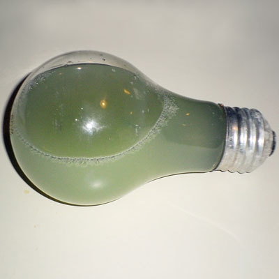 Mini Water Heater "This light bulb was found in a pendant fixture with no globe. The filament had failed, but current was passing through the water, making it warm. 

"A faint arcing noise was...
