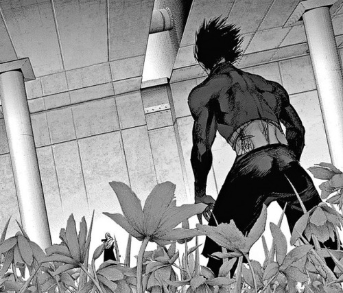 krizzkrashh:TOKYO GHOUL: FLOWER FIELDS