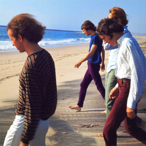 soundsof71:Beach boys! The Doors, Venice Beach, January 1967,...