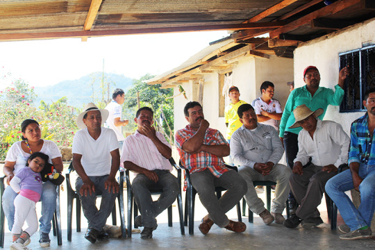 Specialty coffee producers from La Plata Association, Huila