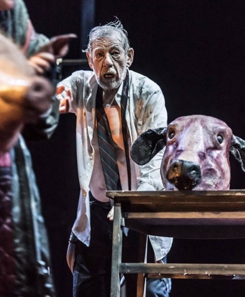 shersjar:Ian McKellen in the 2018 London Production of King...