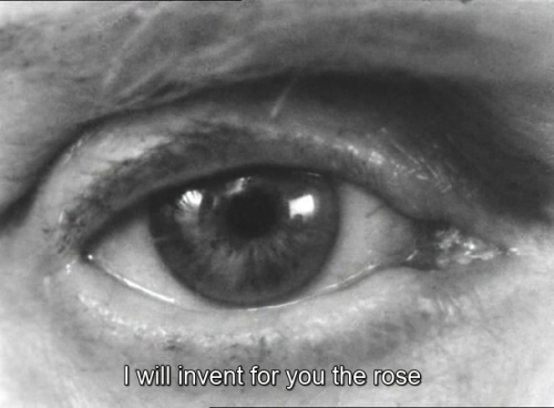 365filmsbyauroranocte:Elsa la rose (Agnès Varda, 1966)