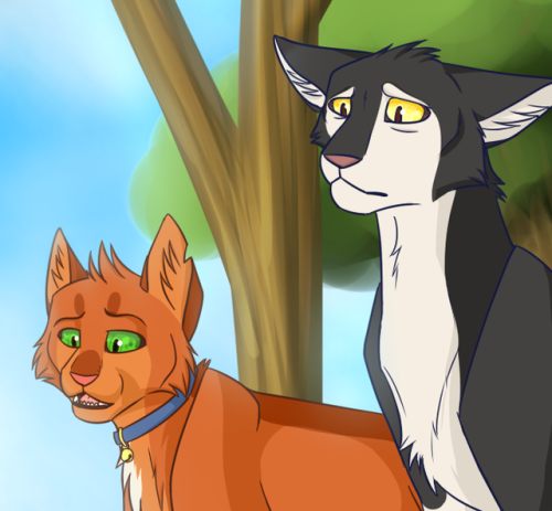 Squirrelflight S Hope