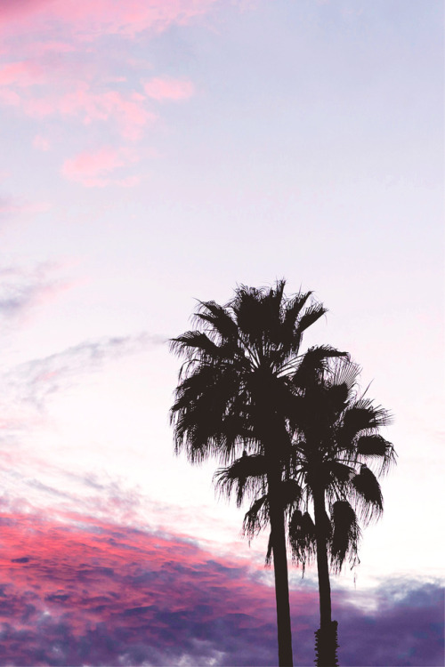 lagunavibe:California Dreamin