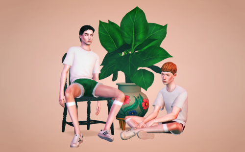 hommes-sims