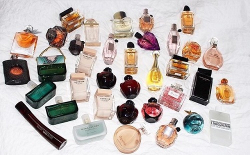 perfume bottles on Tumblr