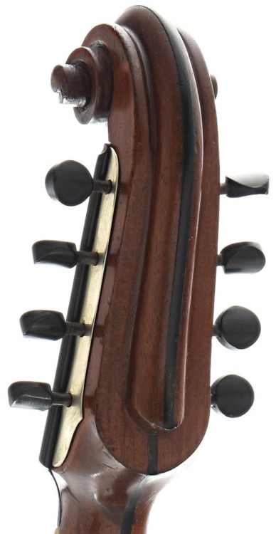 frettedchordophones:A top-of-the-line Lyon & Healy model...