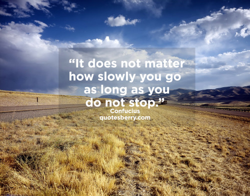 It does not matter how slowly you go as long as... | QuotesBerry ...