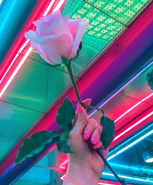  pink  rose nails Tumblr