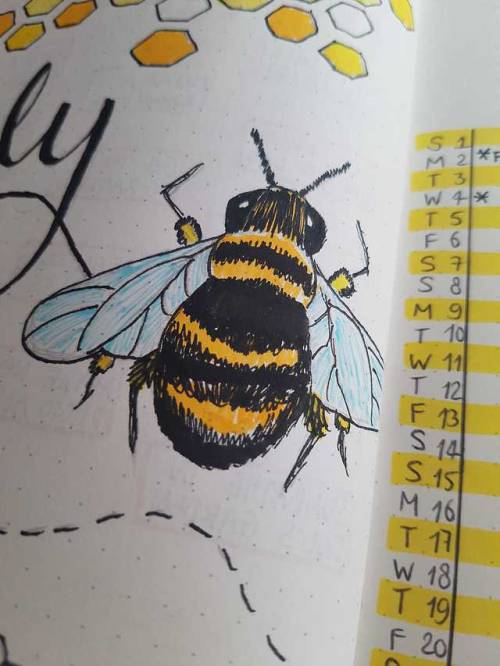 bujobeat:First post! Digging the bee theme this month 