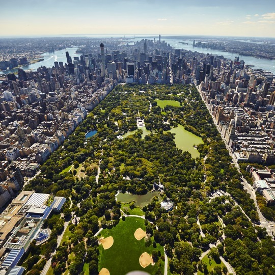 Central Park from above by @taylorscottmason @nyonair #nyc