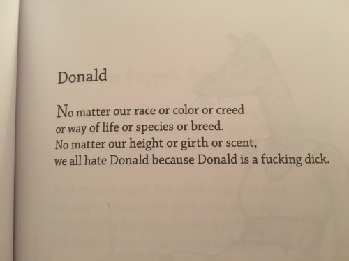 helly-watermelonsmellinfellon:pixelephant:this old bo burnham...