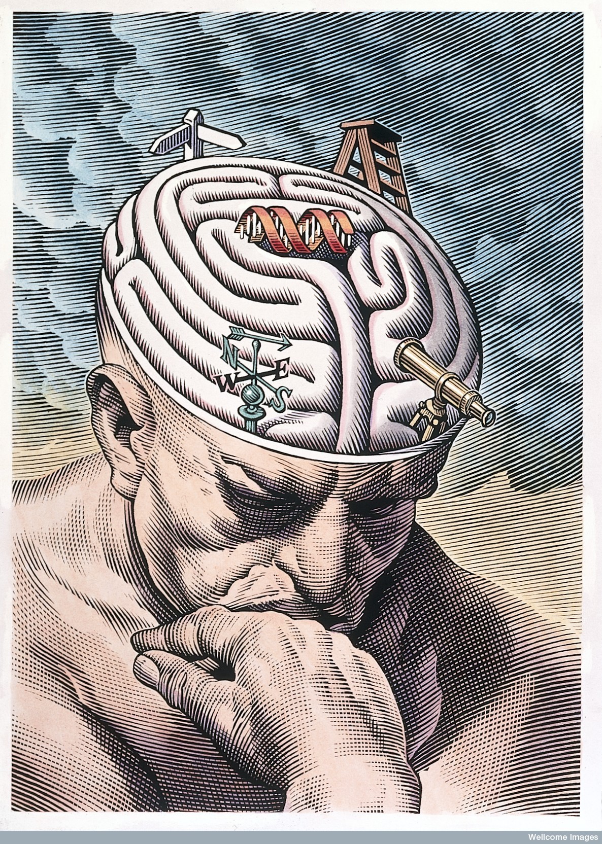 Illustrations by Bill Sanderson from Wellcome Images.