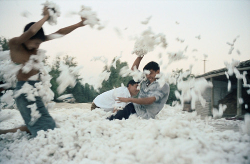 unrar:Uzbekistan 2002, Claudine Doury.