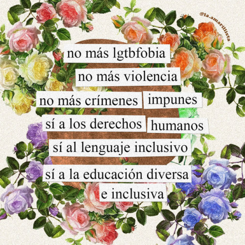 la-amarillista:17 de mayo: Día internacional contra la LGBTfobia