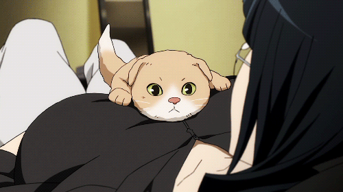 Kawaii anime black witchs magical kitten Vector Image, fotos kawaii