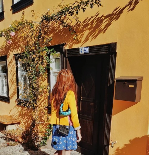 yellowgelb:Be magic #quedlingburg #magiccity #herbst #me...