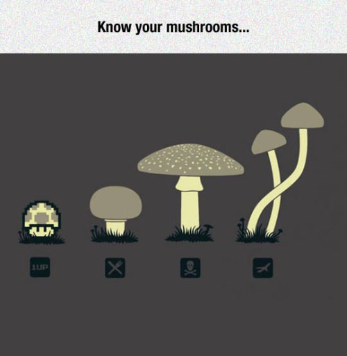 epicjohndoe:Something You Should Know About Mushrooms