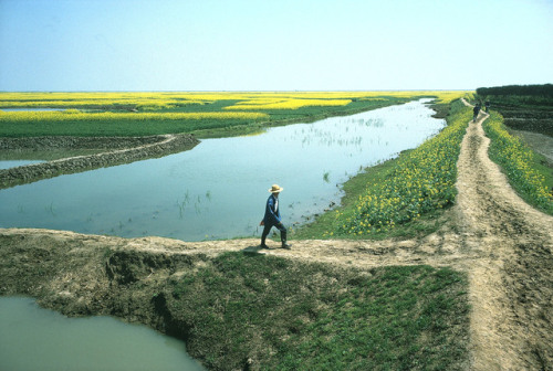 unearthedviews:CHINA. Dongshan. Jiangsu. 1981