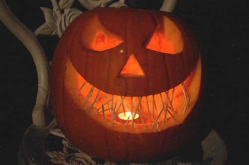 megarah-moon:megarah-moon:I made my jack o lantern and he’s...