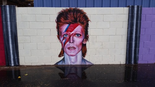 mermaidofthepsychedeliclagoon:David Bowie inspired Street Art