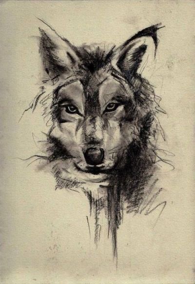 Wolf Drawing Tumblr