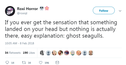 horror lol twitter funny pics birds social media