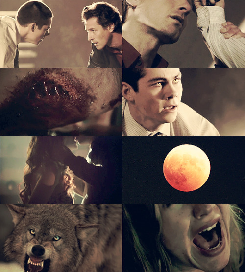 stillwanttoshootyou:Steter Werewolf AU for lupocuore