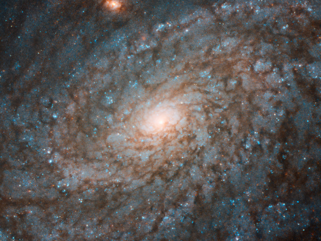 If we could squeeze a galaxy, it would be this fluffy-looking one. Spiral galaxies like this, located 60 million light-years...