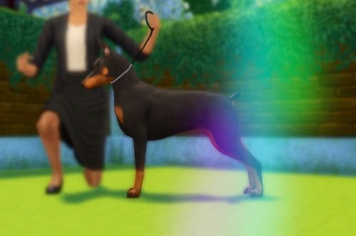 willowsims18