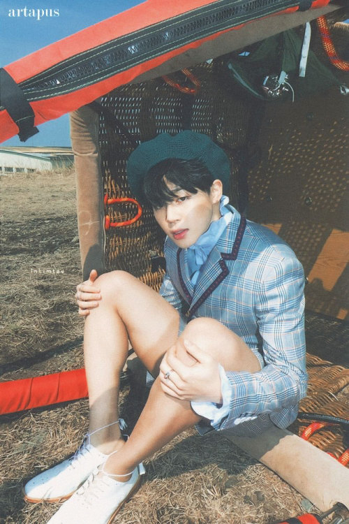 lnkimtae