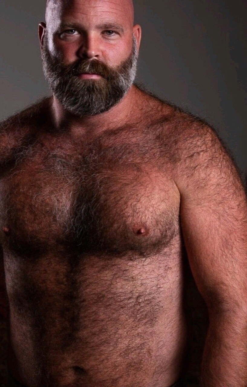 Bear daddy gay